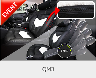 QM3